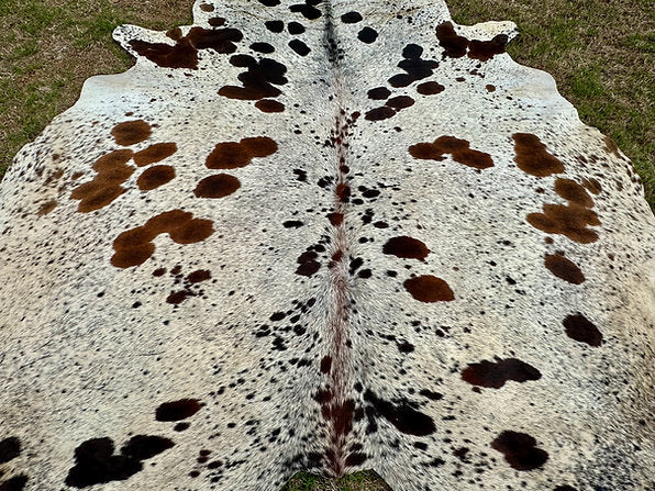 Large Cowhide Rug Tricolor Brown Western Decor 6.5 x 6 ft