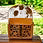 Western Cowhide Tooled Leather Backpack in Tan