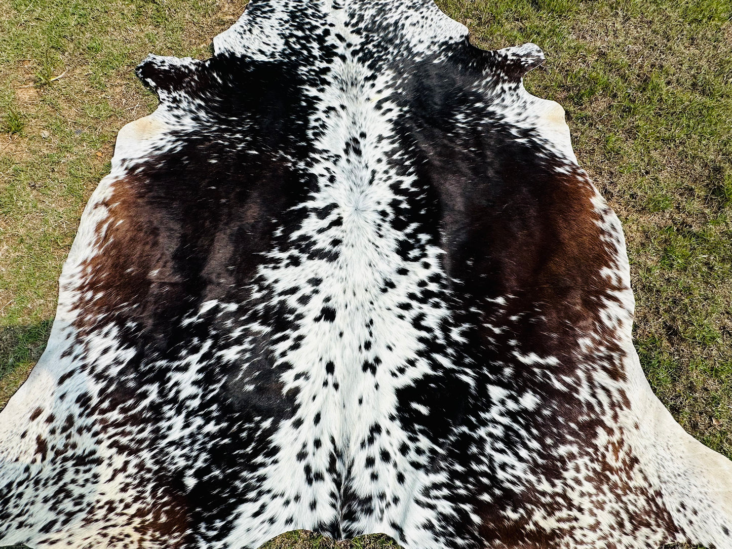 Real Cowhide Rug Tricolor Brown Western Rodeo Decor Large 5 x 6 ft