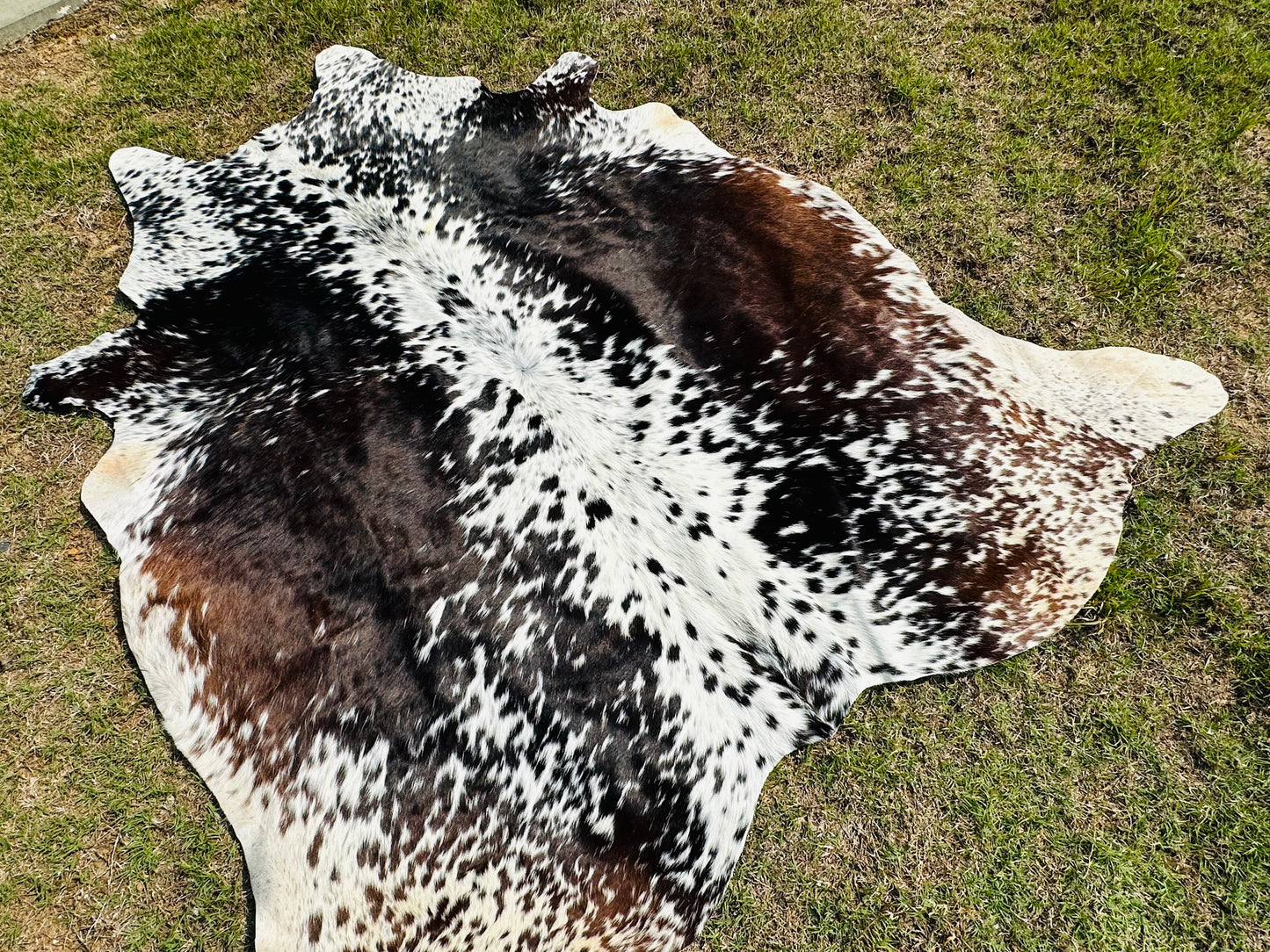 Real Cowhide Rug Tricolor Brown Western Rodeo Decor Large 5 x 6 ft