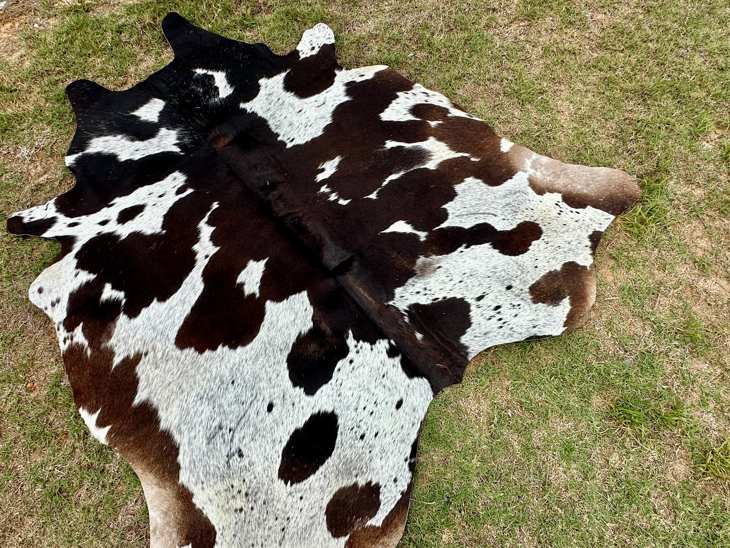 Large Cowhide Rug Tricolor Brown Western Rodeo Decor 5 x 6 ft