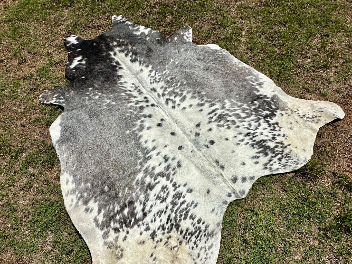 Medium Cowhide Rug Gray Western Rodeo Decor 5 x 5 ft