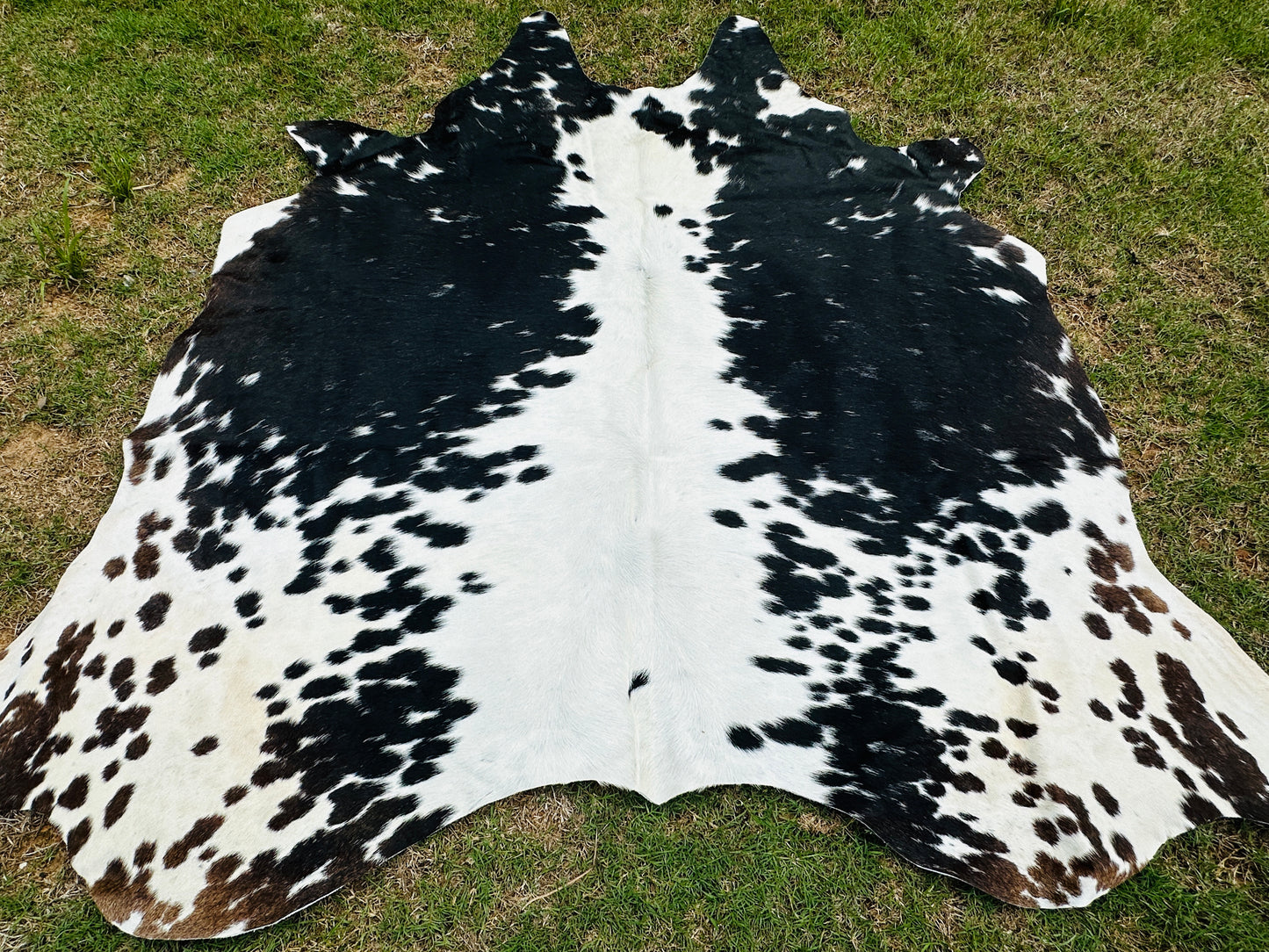 Small Cowhide Rug Black Tricolor Western Area Accent Rugs 5 x 4.5 ft