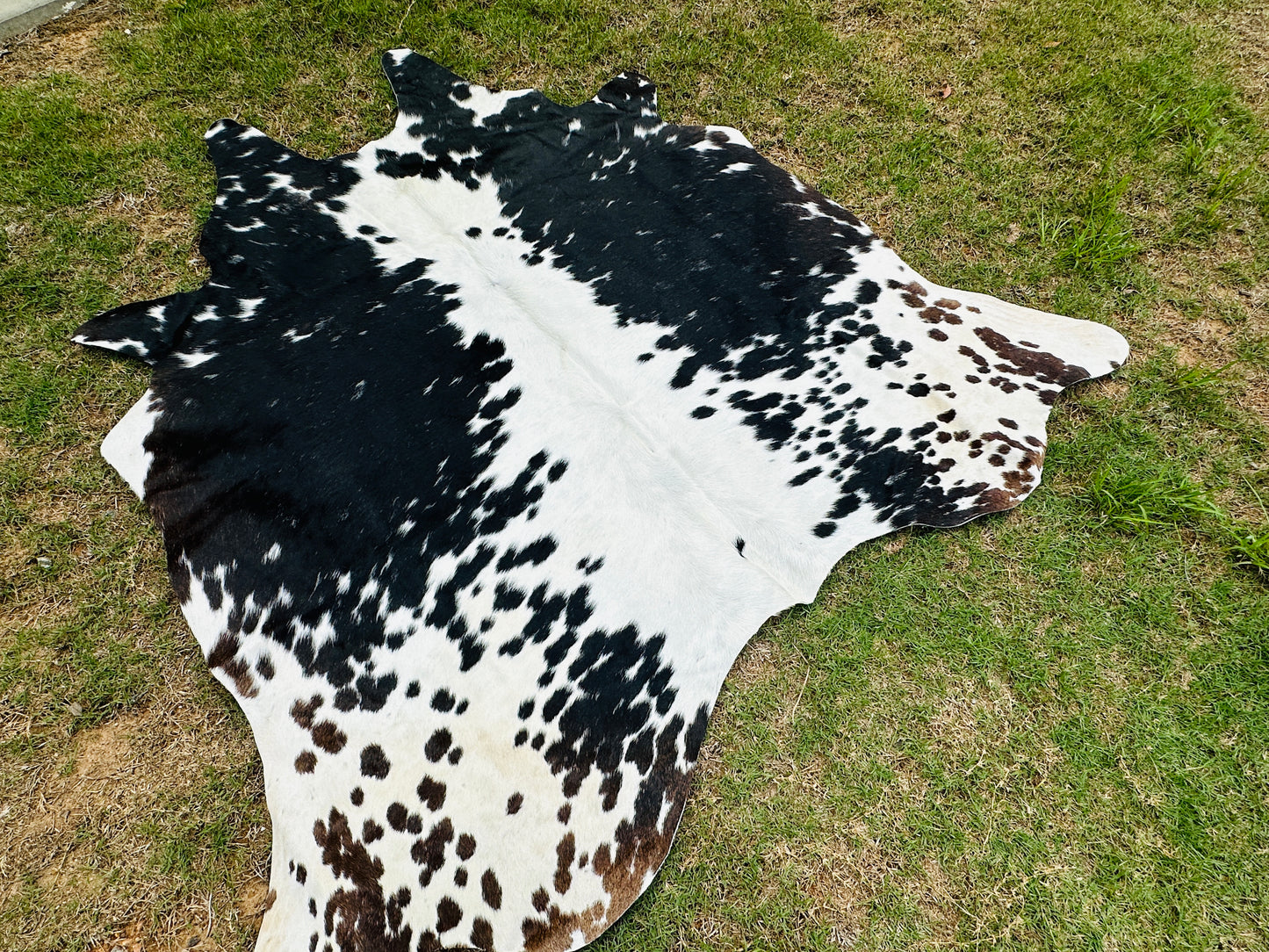 Small Cowhide Rug Black Tricolor Western Area Accent Rugs 5 x 4.5 ft