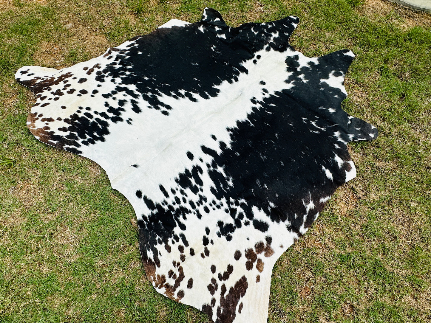 Small Cowhide Rug Black Tricolor Western Area Accent Rugs 5 x 4.5 ft