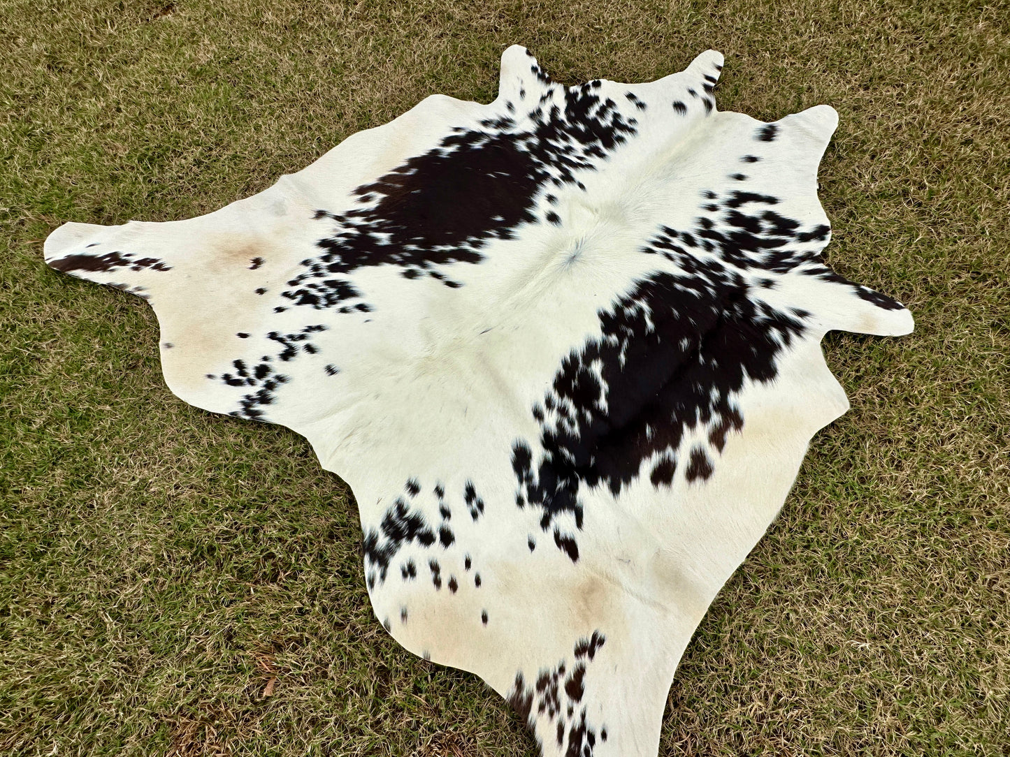 Small Cowhide Rug Black Brown Western Accent Rugs 5 x 4 ft