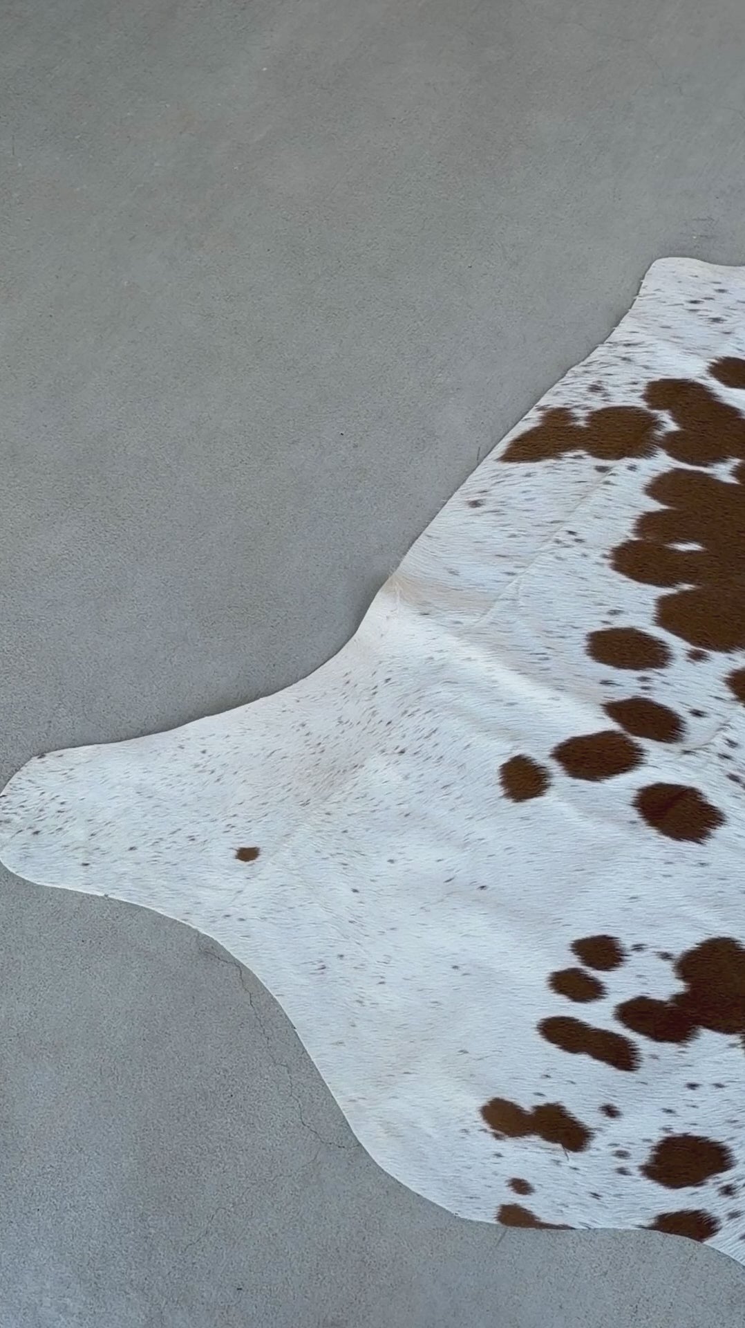 Large Cowhide Rug Brown Western Decor Area Rugs 6 x 6 ft