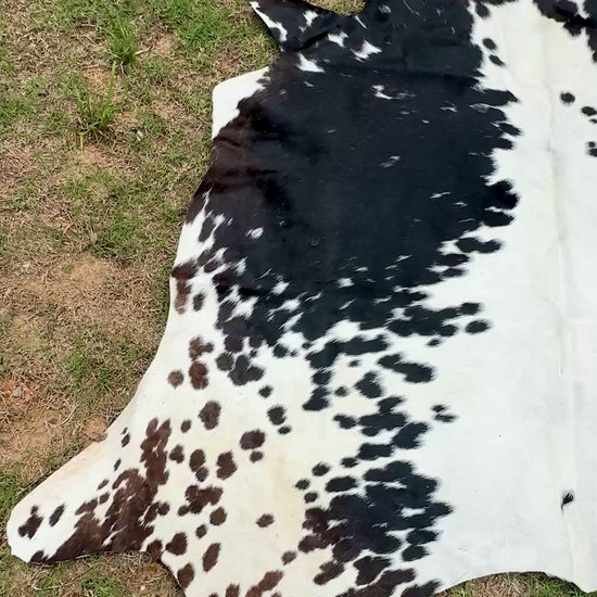Small Cowhide Rug Black Tricolor Western Area Accent Rugs 5 x 4.5 ft