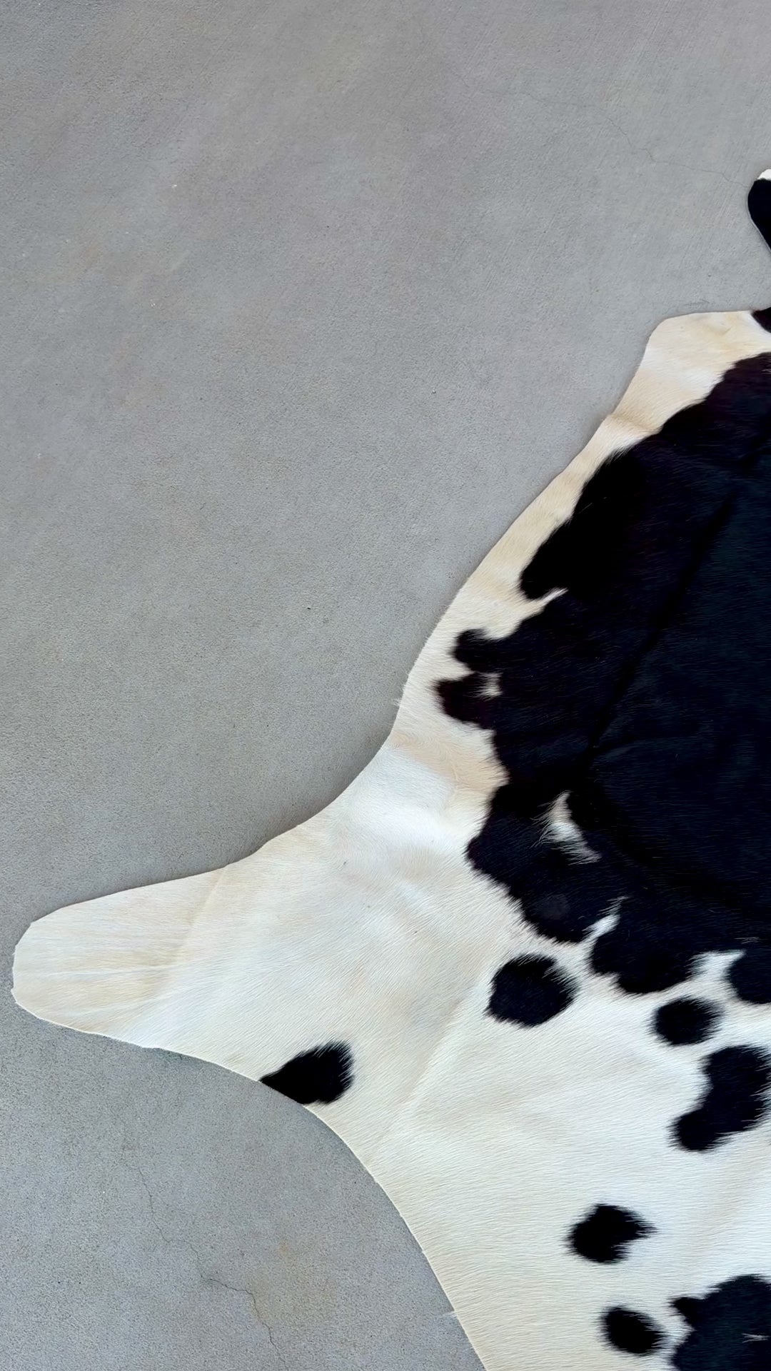 Genuine Cowhide Rug Farmhouse Rodeo Western Area Rugs 6 ft x 5.5 ft