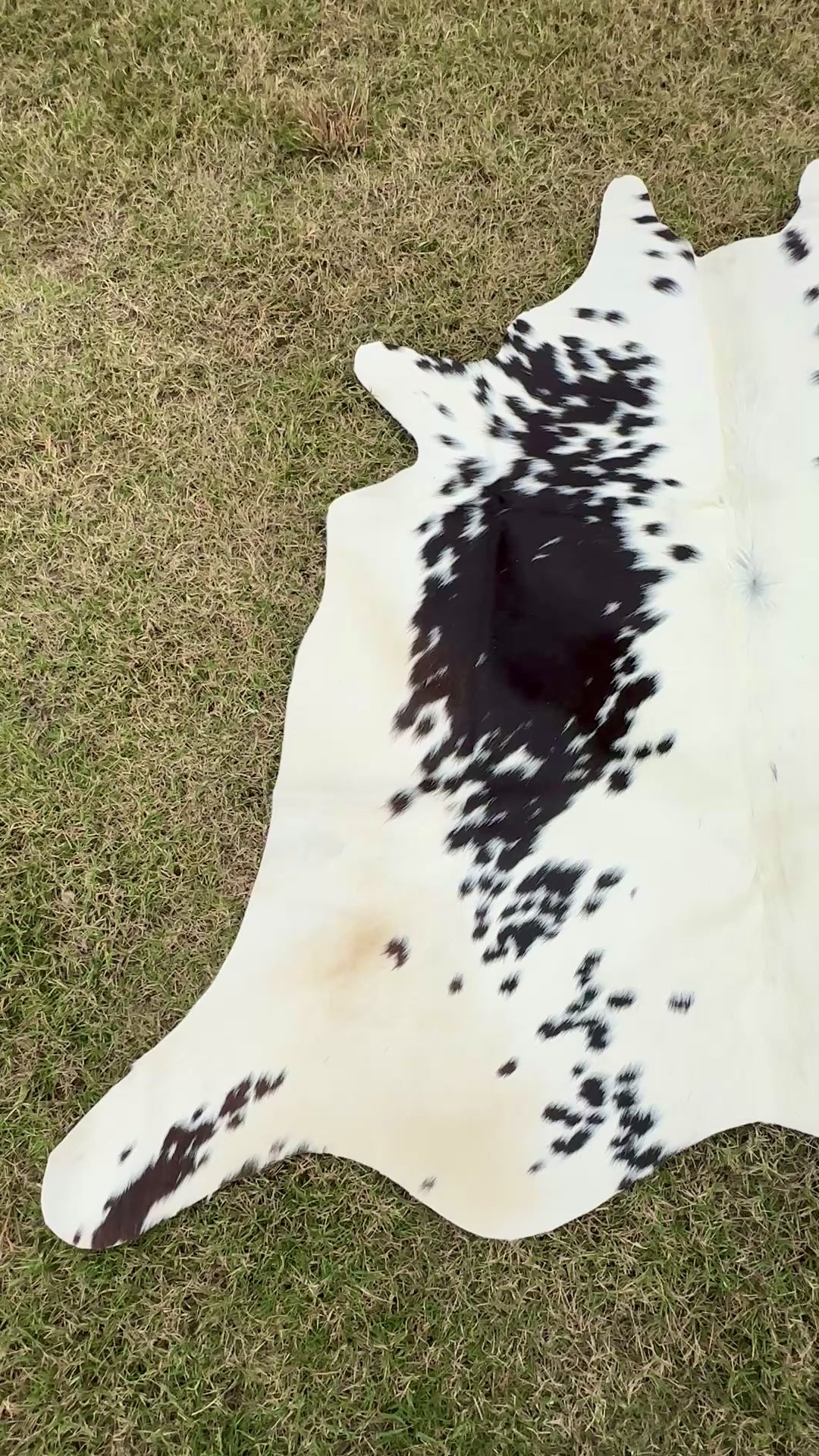 Small Cowhide Rug Black Brown Western Accent Rugs 5 x 4 ft