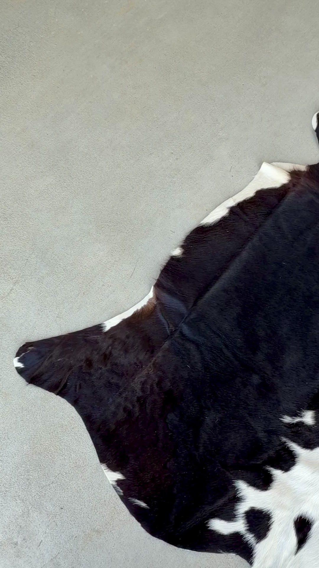 Small Cowhide Rug Black Tricolor Western Area Accent Rugs 5 x 4.5 ft